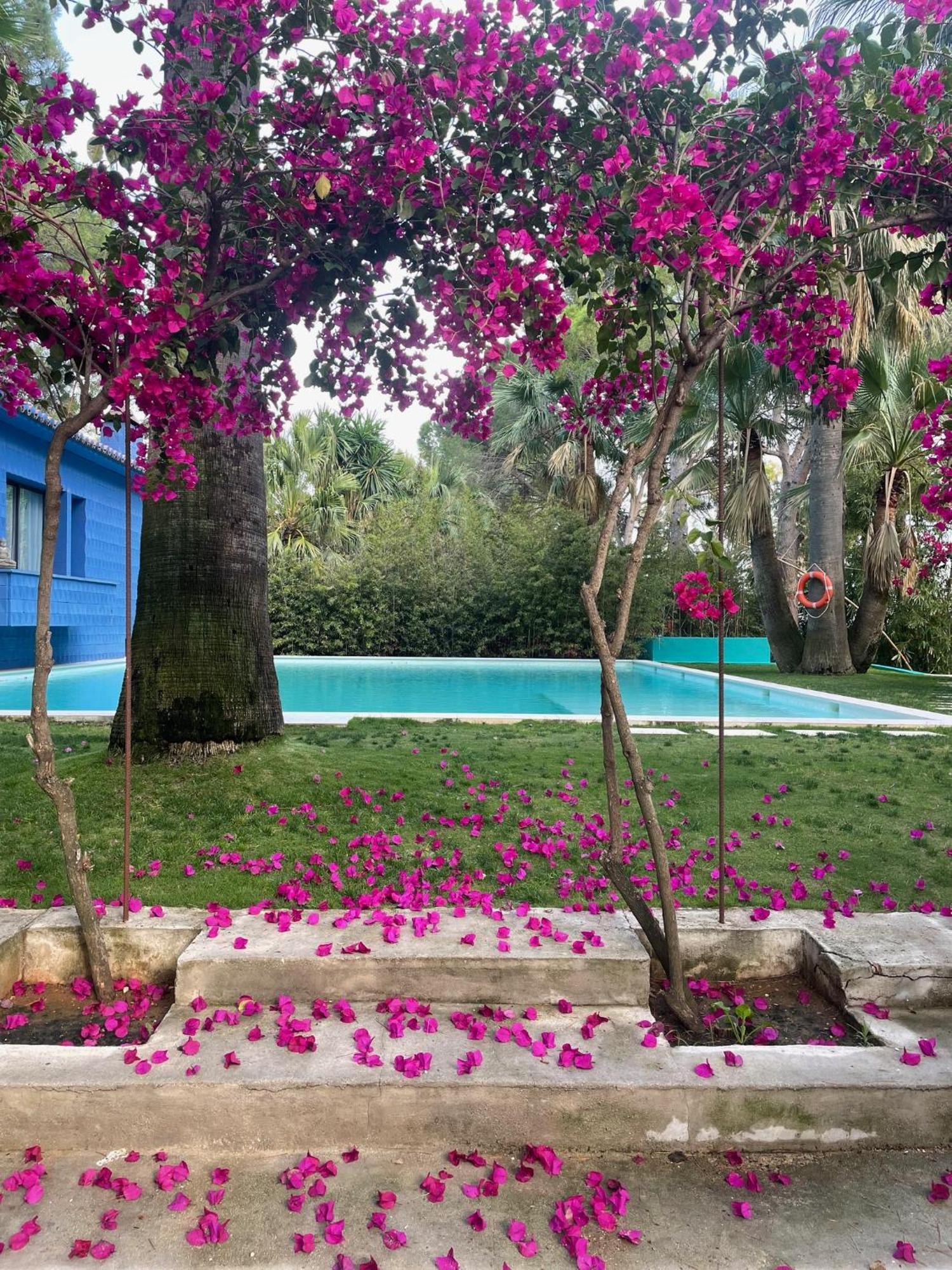 El Botanico De Sagra Hotell Exteriör bild
